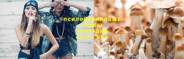 шишки Алексеевка
