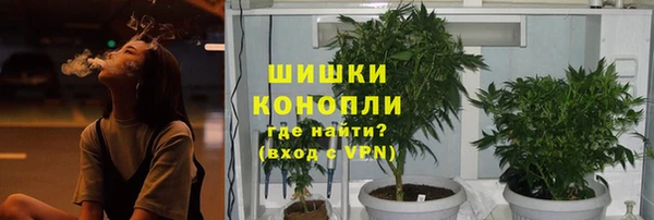 шишки Алексеевка