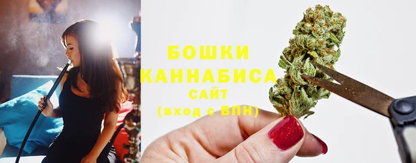 винт Нягань