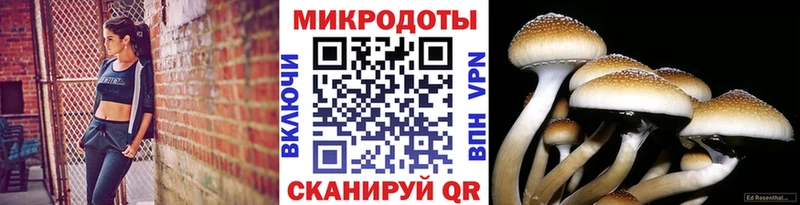 хочу наркоту  площадка клад  Псилоцибиновые грибы прущие грибы  Бирск  ссылка на мегу сайт 
